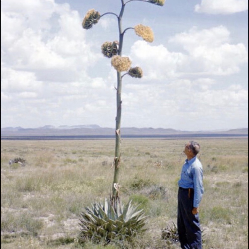 Meet your Posher, Christian
